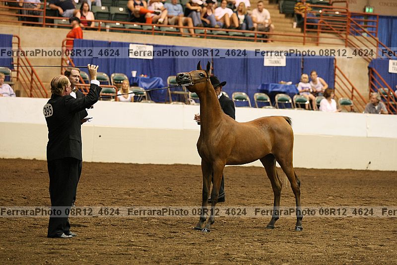 Proof 08r12_4624