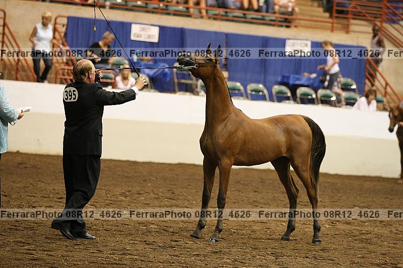 Proof 08r12_4626