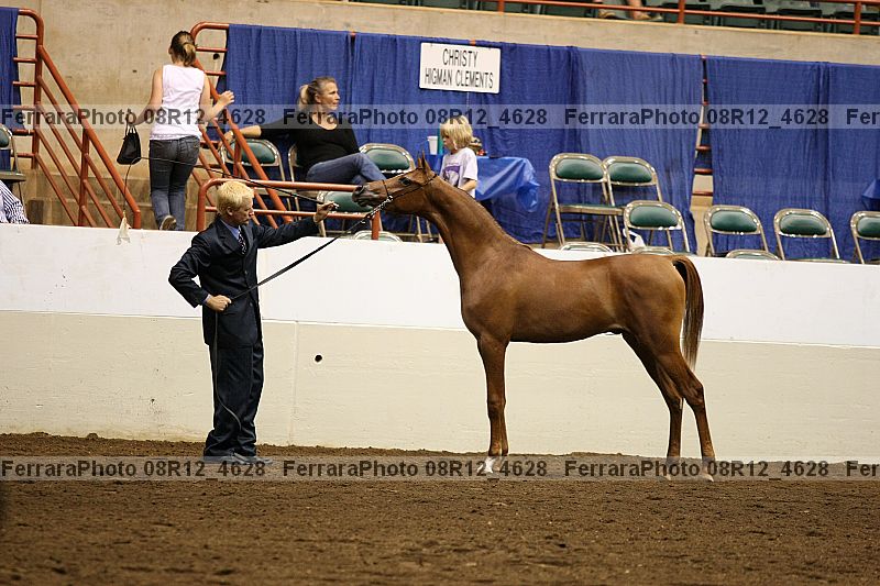 Proof 08r12_4628