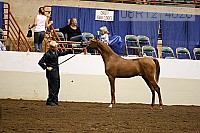 08r12_4628 proof