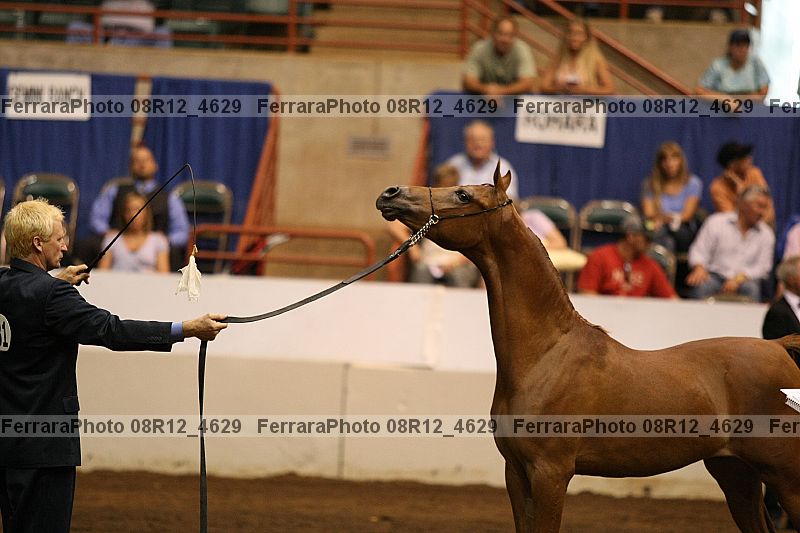 Proof 08r12_4629