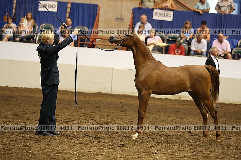 Proof 08r12_4631