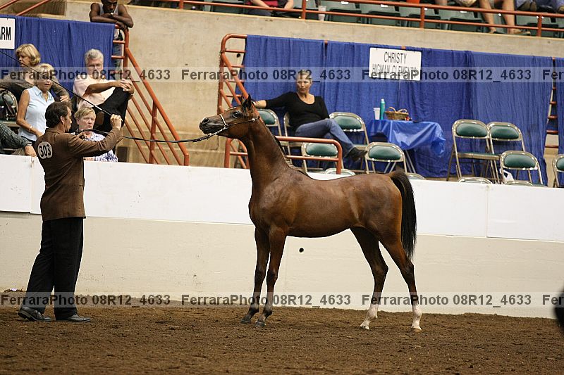 Proof 08r12_4633