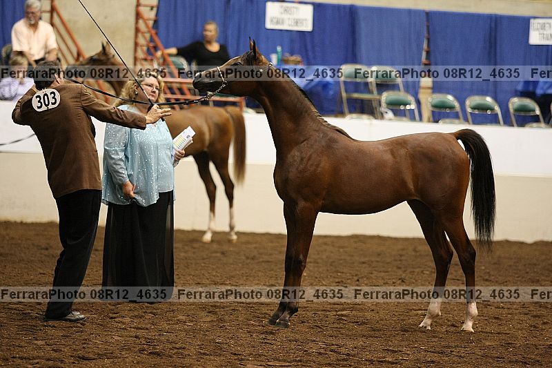 Proof 08r12_4635