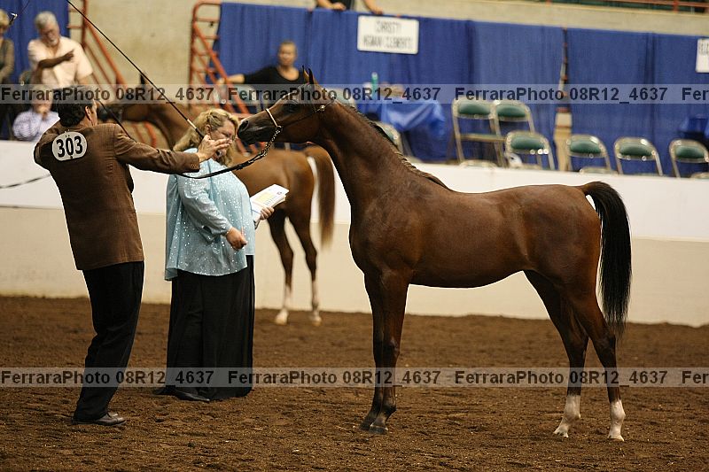 Proof 08r12_4637