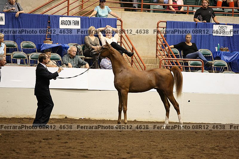 Proof 08r12_4638