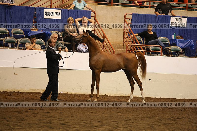 Proof 08r12_4639