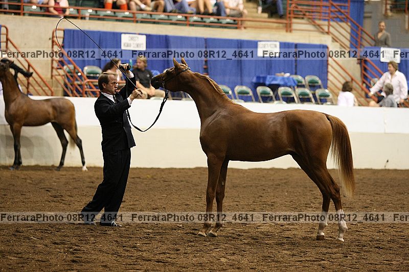 Proof 08r12_4641