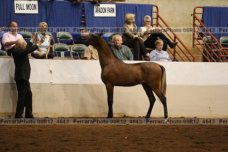 Proof 08r12_4643
