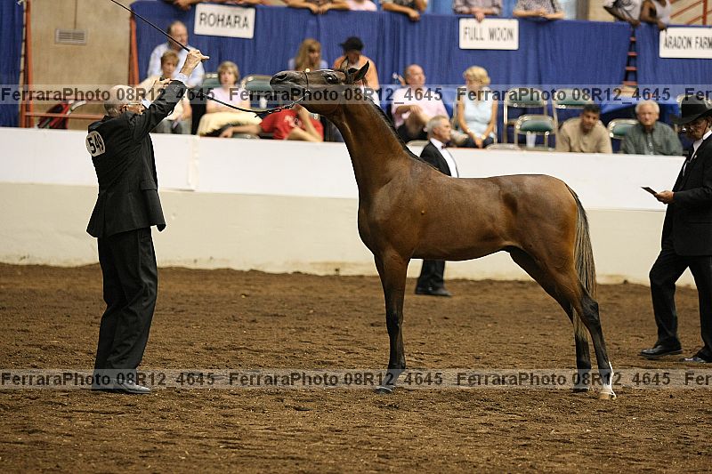 Proof 08r12_4645