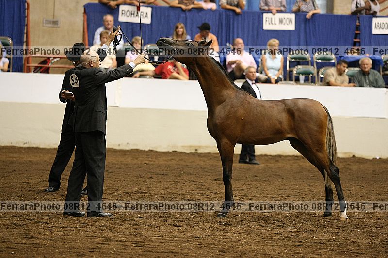 Proof 08r12_4646
