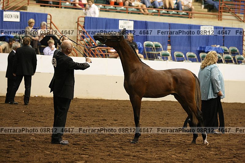 Proof 08r12_4647
