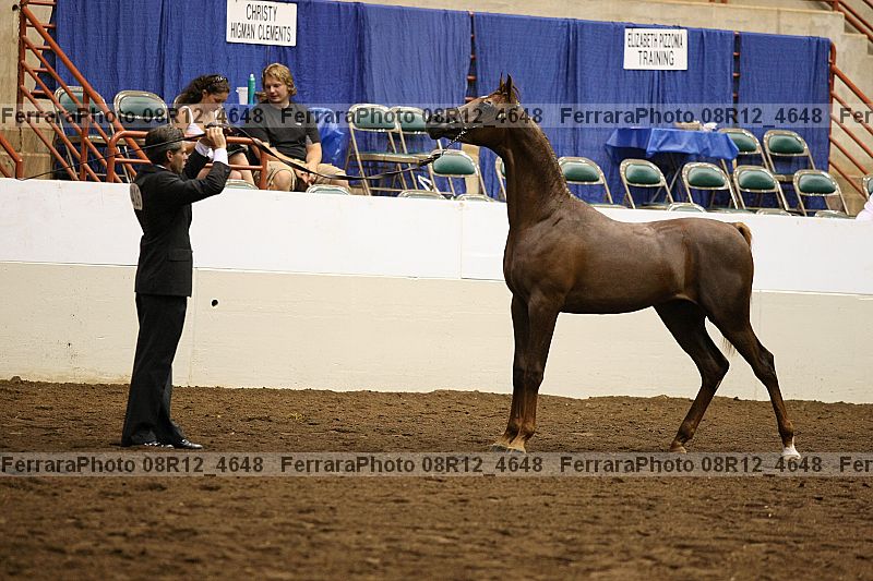 Proof 08r12_4648