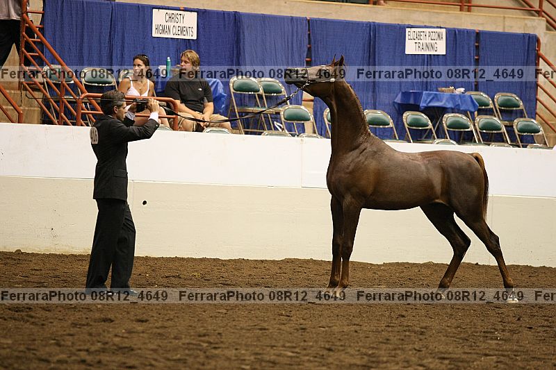 Proof 08r12_4649