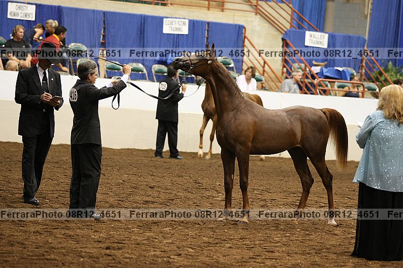 Proof 08r12_4651