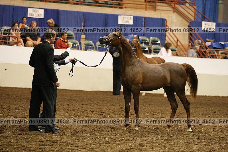 Proof 08r12_4652