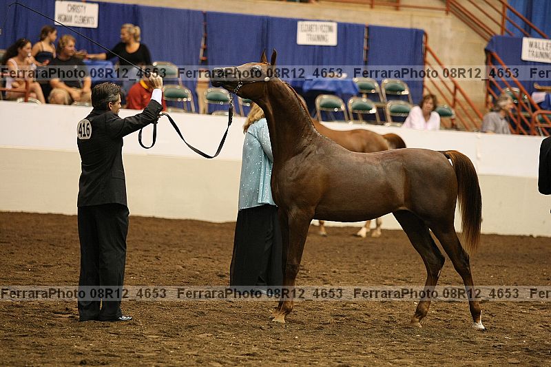 Proof 08r12_4653
