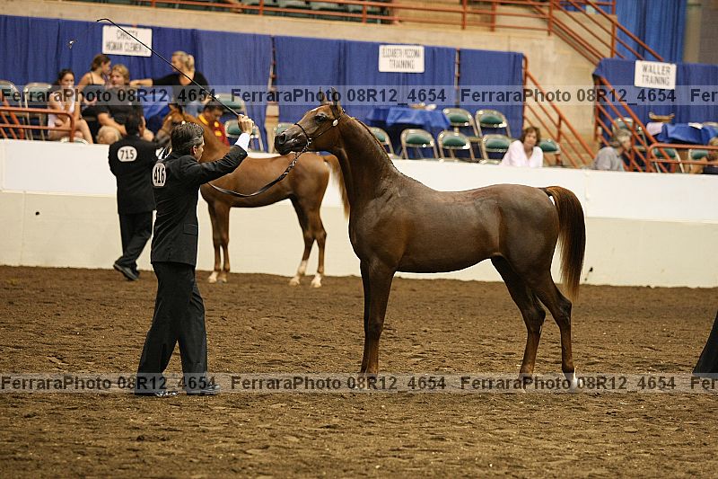 Proof 08r12_4654