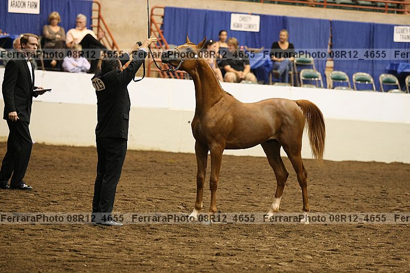 Proof 08r12_4655