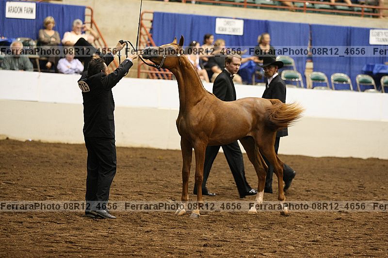 Proof 08r12_4656