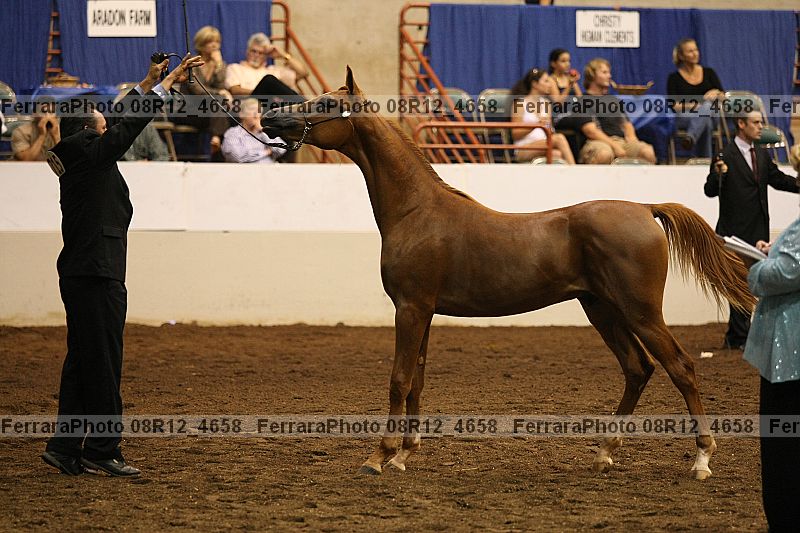 Proof 08r12_4658