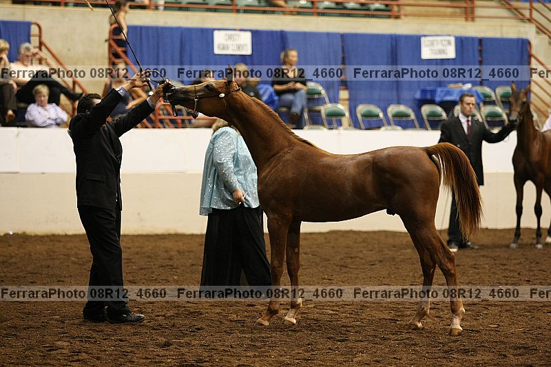 Proof 08r12_4660