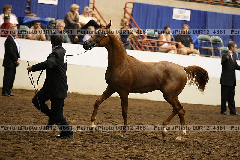 Proof 08r12_4661