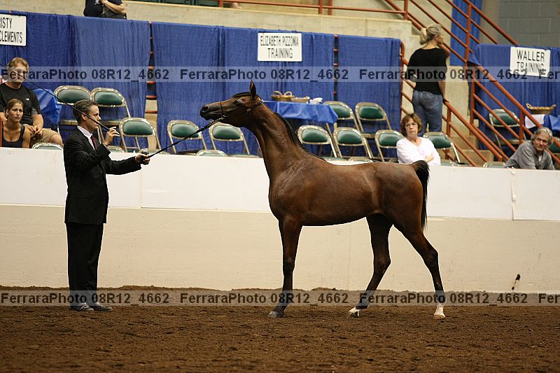 Proof 08r12_4662