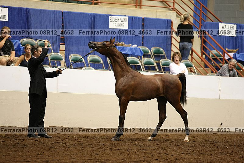 Proof 08r12_4663