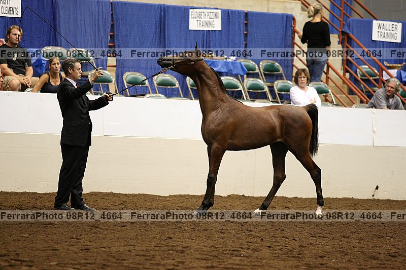Proof 08r12_4664