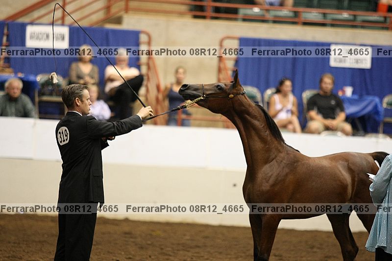 Proof 08r12_4665