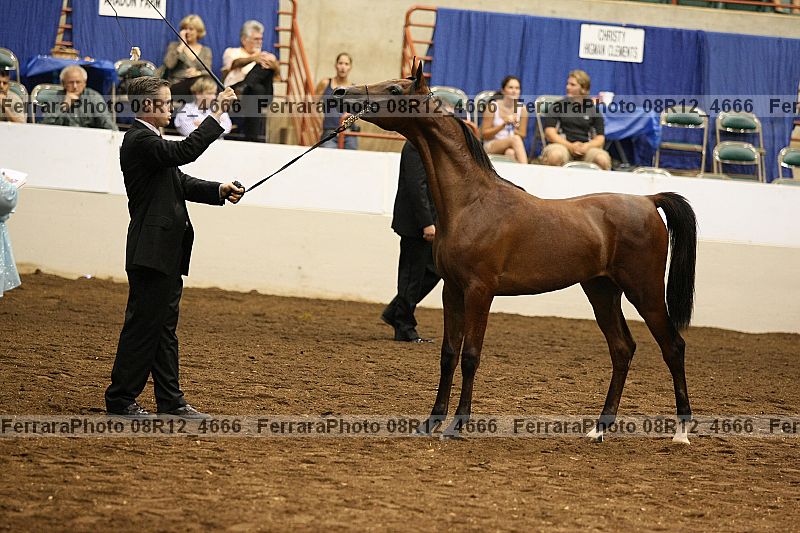 Proof 08r12_4666