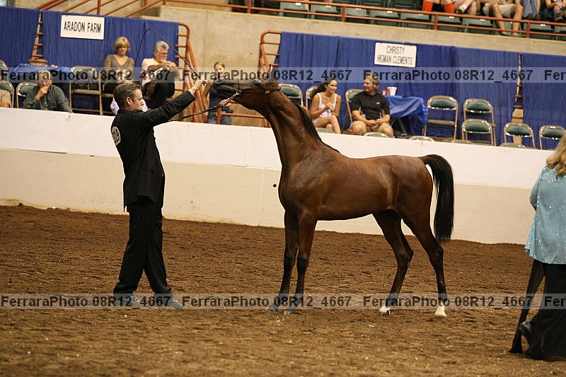 Proof 08r12_4667