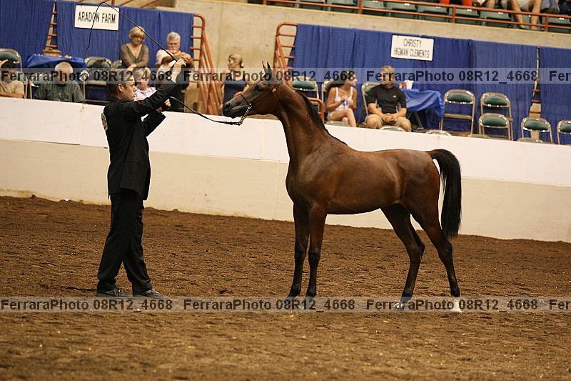 Proof 08r12_4668
