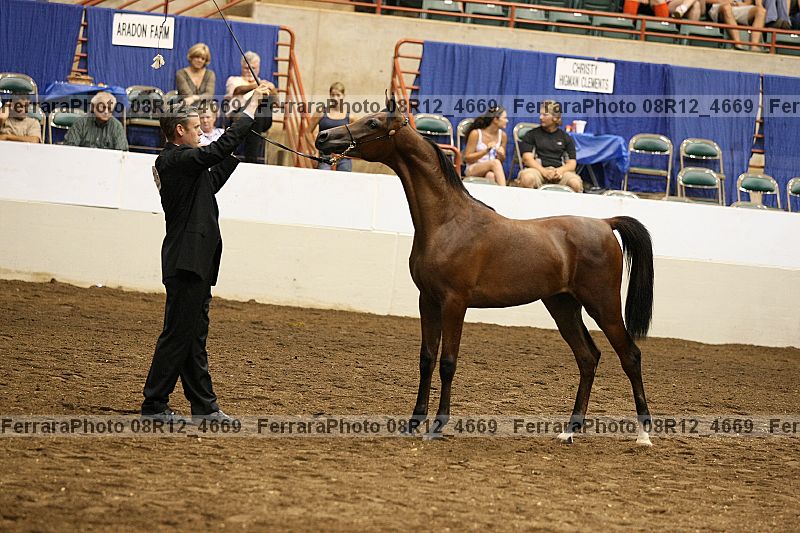 Proof 08r12_4669