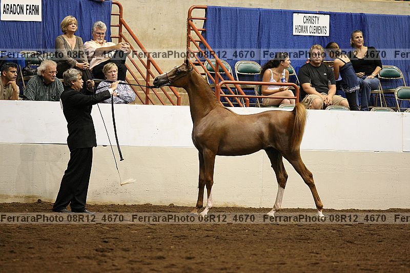 Proof 08r12_4670