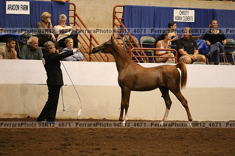 Proof 08r12_4671