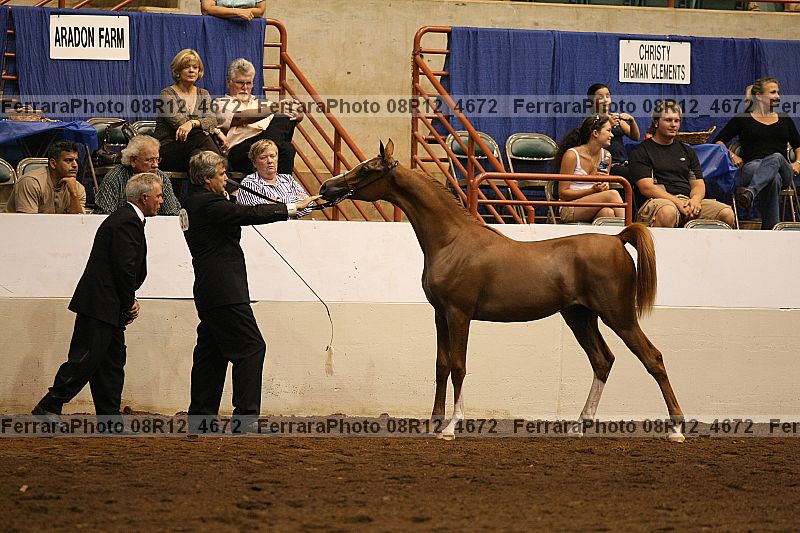 Proof 08r12_4672