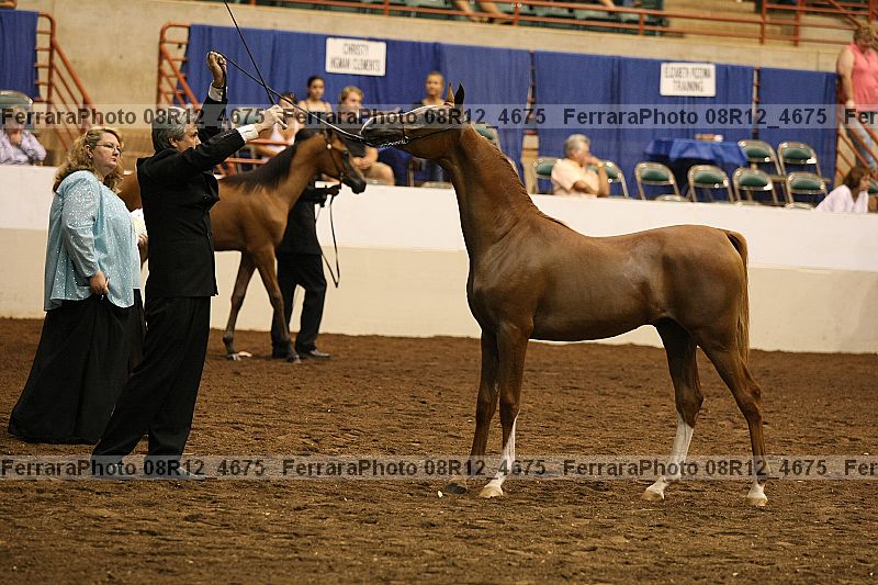 Proof 08r12_4675