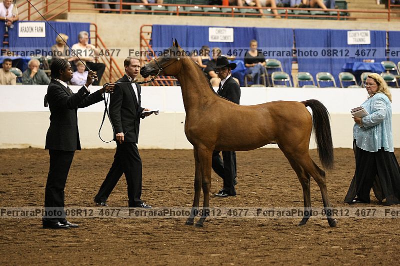 Proof 08r12_4677