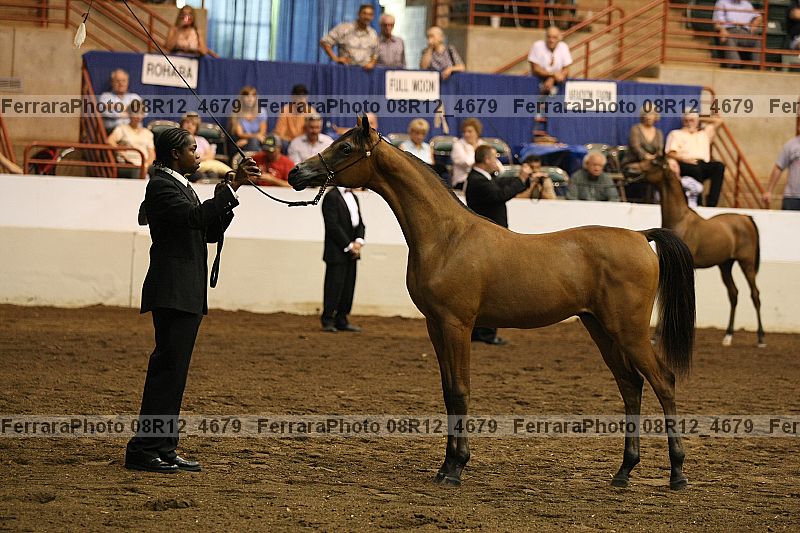 Proof 08r12_4679
