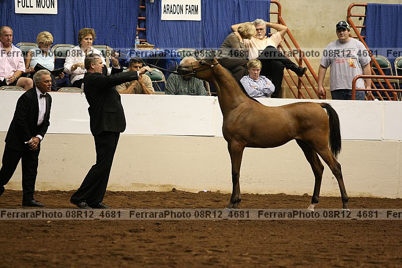 Proof 08r12_4681