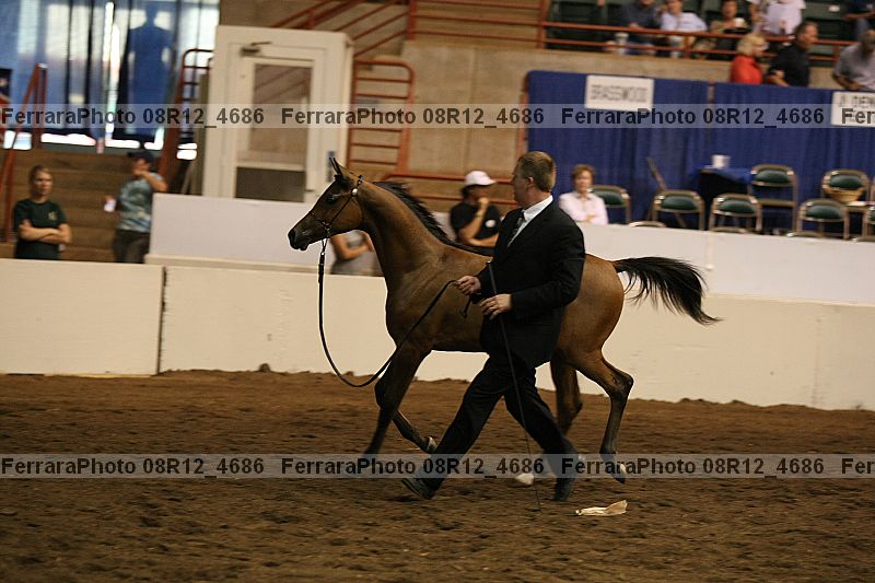 Proof 08r12_4686