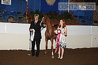 08r12_4688 proof