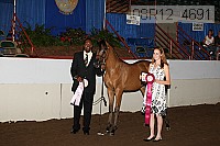 08r12_4691 proof