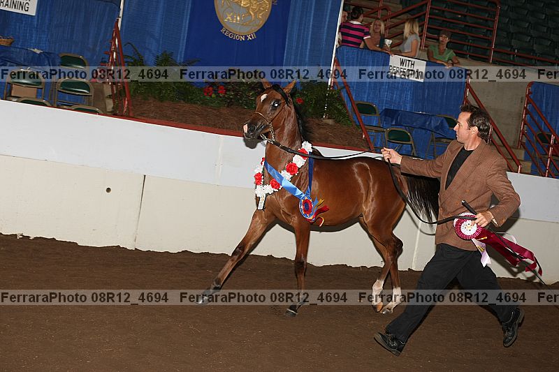 Proof 08r12_4694