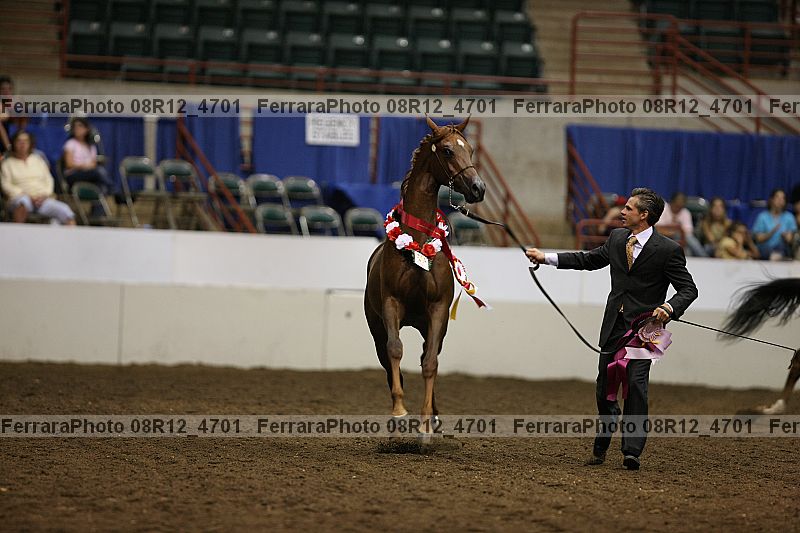 Proof 08r12_4701