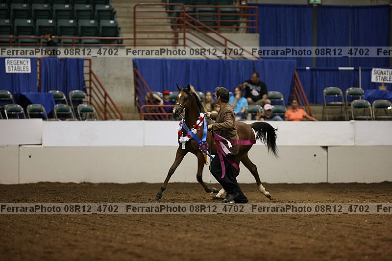 Proof 08r12_4702