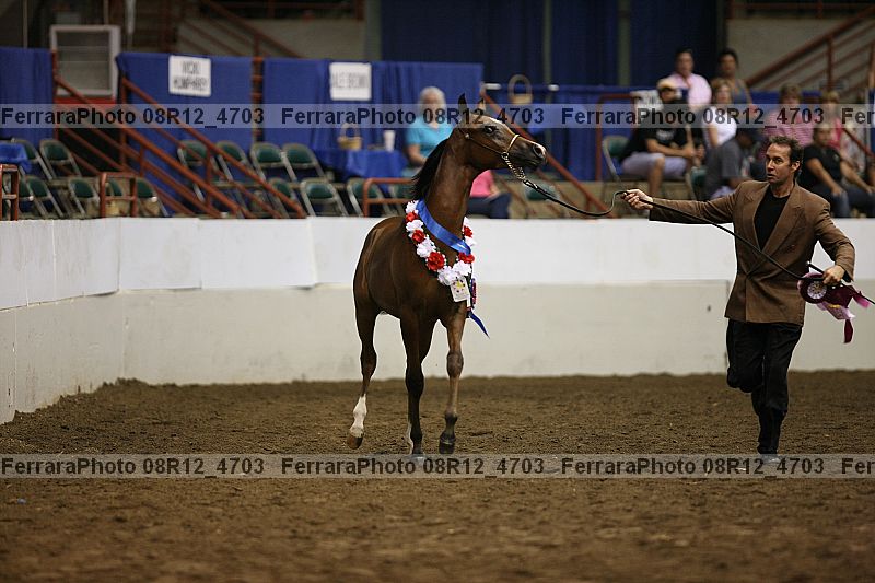 Proof 08r12_4703