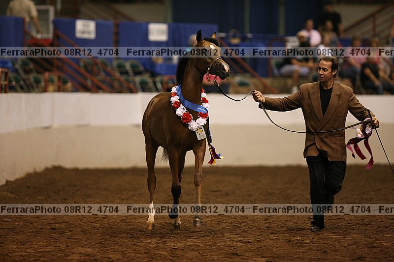 Proof 08r12_4704